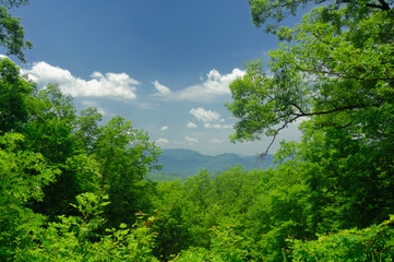 Obraz na płótnie Canvas View from Roaring Fork Motor Nature Trail