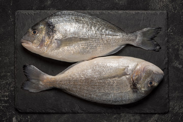 Two fresh dorado fish on black granite stone board on black table. Top view.