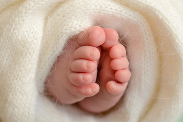 Legs of the newborn baby in a warm blanket