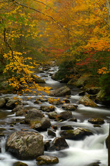 Little Pigeon River in Autumn at Great Smoky Mountains National Park