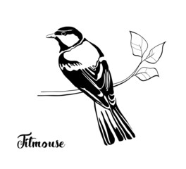 Vector bird on branch. Isolated titmouse on white. Titmouse typography silhouette.