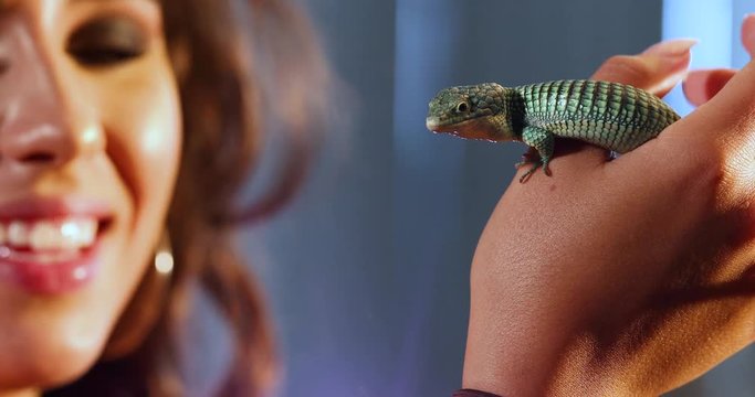 A very happy, brunette girl holding her pet Mexican Alligator Lizard. The reptile has a cool blue and green pattern and the girl is seen out of focus behind it since the focus is on the lizard. 4k