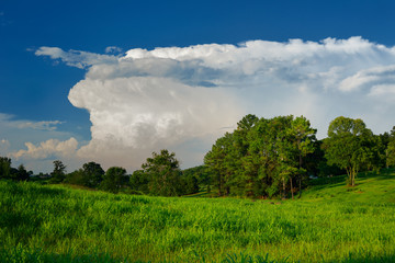 Cumulonimbus incus anvil cloud