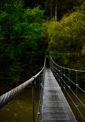 Fototapeta premium Bridge in the jungle