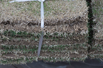 Turf panels
