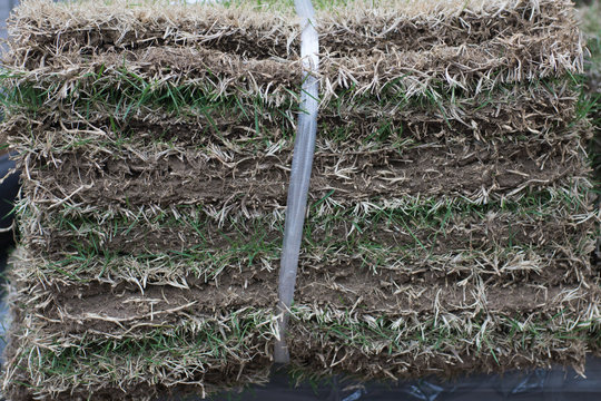 Turf panels