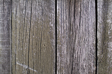 The boards nailed vertically, not covered with paint