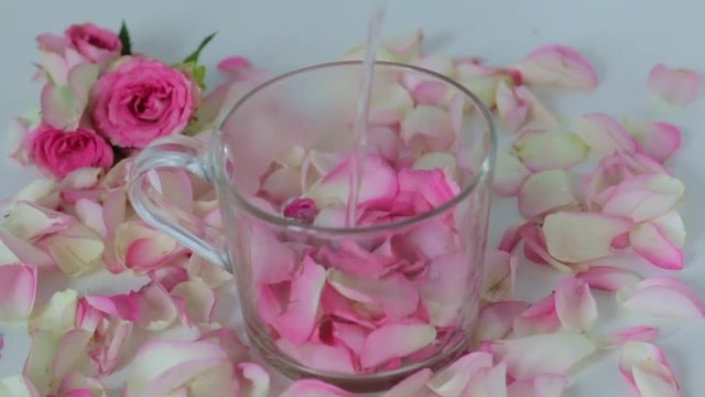 girl throws rose petals in a cup and pours boiling water