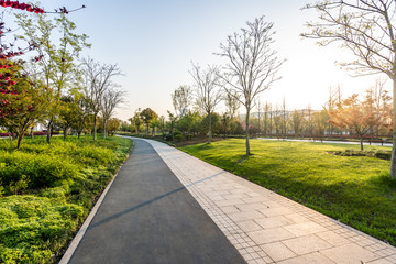 road in park