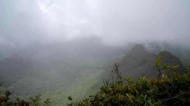 Cloudy Hike in El Yunque National Forest in Puerto Rico