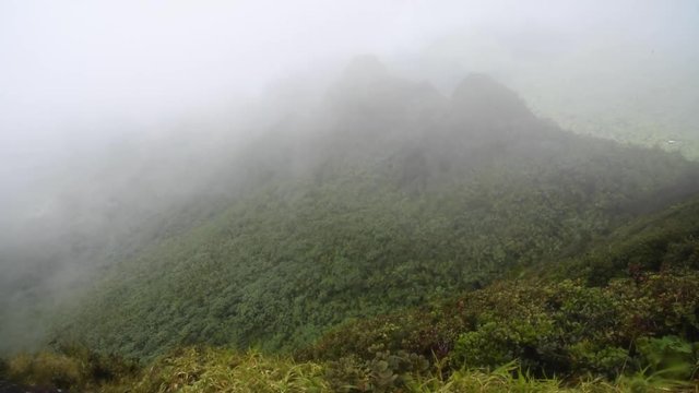 Cloudy Hike in El Yunque National Forest in Puerto Rico