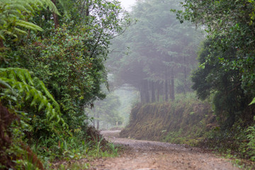 Calle de montaña