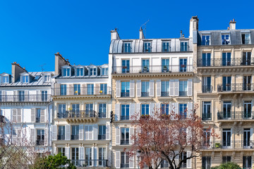 Paris, beautiful buildings in the center, typical parisian facades in the Marais  - Powered by Adobe