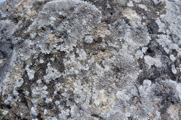 the plain of jars sit1, Phonsavan, province Xieng Khuang in north Lao in southeastasia. - Image