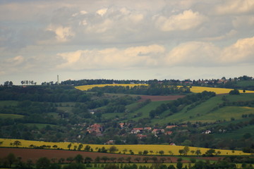 Obraz premium Kwitnące pole rzepaku w Saksonii w Niemczech
