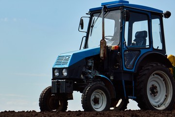 Obraz premium A tractor on the field plant potatoes and cultivates the ground , Planting potatoes with a small tractor