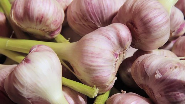  Pile of pink young garlic heads.