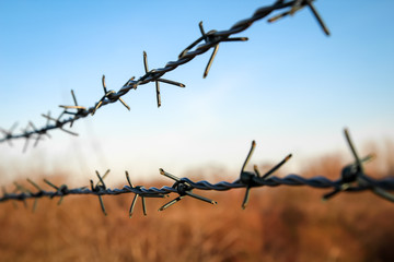 Stacheldraht eines Zaun