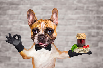 funny dog red french bulldog waiter in a black bow tie hold jam in a glass jar and show a sign...