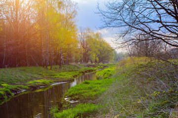 Fototapeta premium Frühling am Fluss