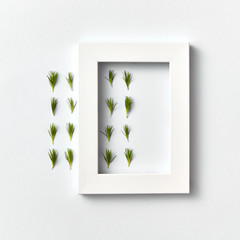 Froral composition with fresh needles and white frame on a light background.