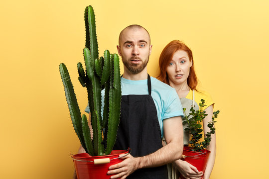 attractive lovely man and woman with sceptic expression looking at the camera. close up photo
