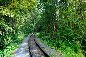 one way old railroad in rural area with green trees