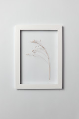 Natural organic frame with dry plant branch on a light gray background.