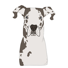 Illustration of surprised colorful portrait of mastiff dog head on white background. Vector hand drawn art of dogo breed in simple style. Design for t-shirt, sketchbook cover or phone case.