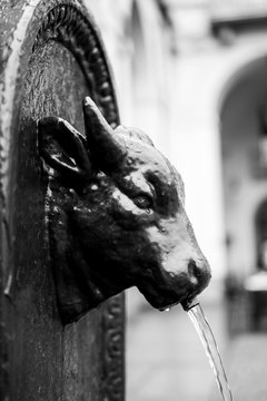 Turin Turet Toro
