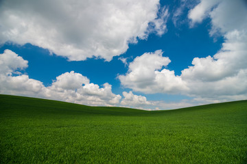 Fototapeta na wymiar Green meadow under blue sky with clouds