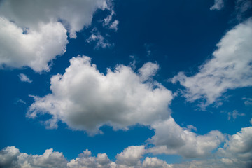 Green meadow under blue sky with clouds