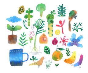 nature illustrations set 1