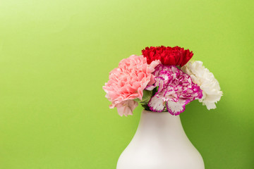 Beautiful carnations in bloom