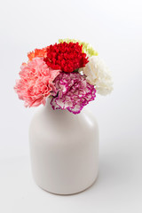 Beautiful carnations in bloom