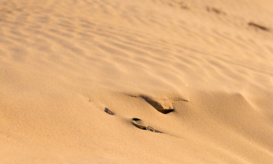 watches are covered with sand