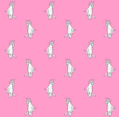 Vector seamless pattern of black line hand drawn cockatoo parrot sitting on tree branch isolated on pink background 