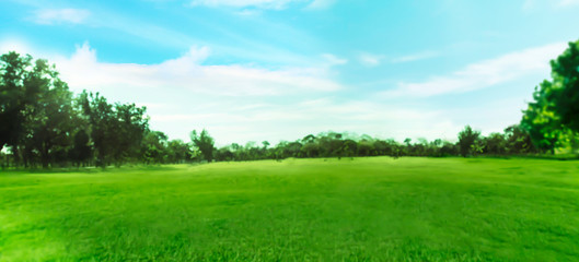 Blurred photo Beautiful meadow in the park with morning sky.