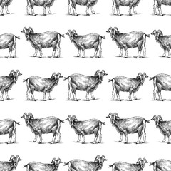 Seamless background of goat sketches