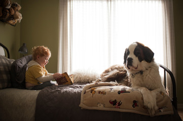 Young boy reading to his large St. Bernard dog on bed