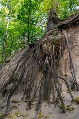 Wąwóz Świętej Królewej Jadwigi