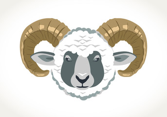 Ram mutton sheep animal vector illustration head with horns zodiac aries