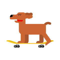 Dog on skateboard. pet on board. hound Skateboarder