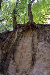 Wąwóz Świętej Królewej Jadwigi