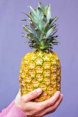 A woman holds a pineapple in the purple background_