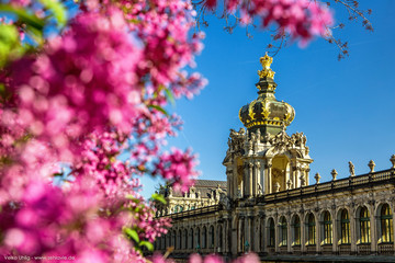 Frühling in Dresden © sehlavie