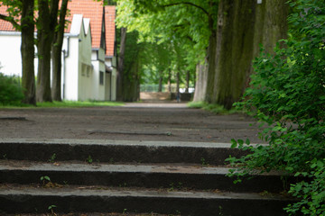 Berlin Reinickendorf Frohnau Sommerbeginn Sportplatz