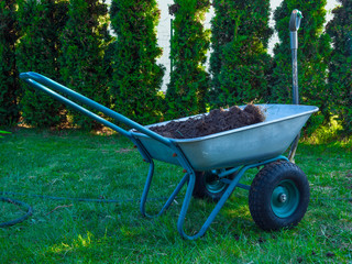 garden cart for planting palnt in the garden with shovel, green tree