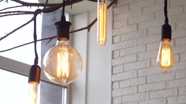 Close up for led light bulbs of different forms hanging on black wires from the ceiling in the room with white brick walls. Media. Beautiful retro light bulbs on tree branch, home decoration elements.