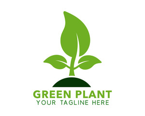 Green Plant logo. Editable vector EPS.